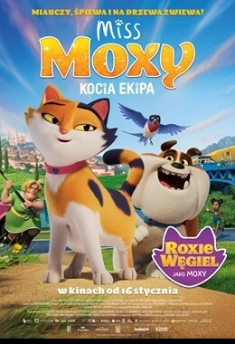 MISS MOXY. KOCIA EKIPA