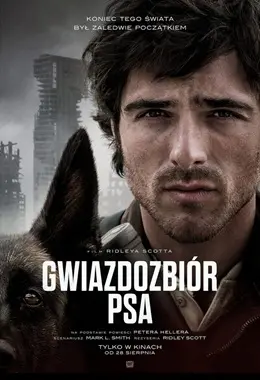 GWIAZDOZBIÓR PSA